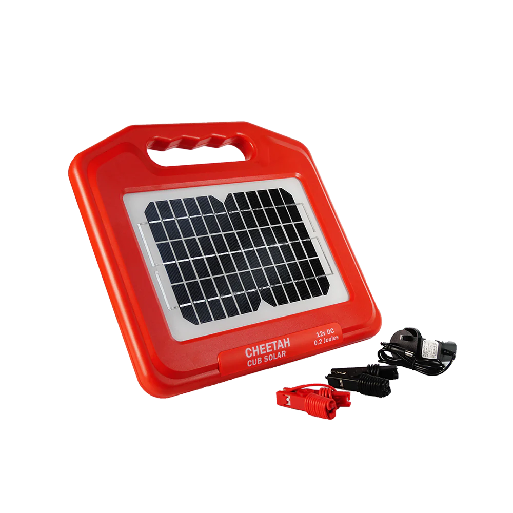 Cheetah Solar Cub