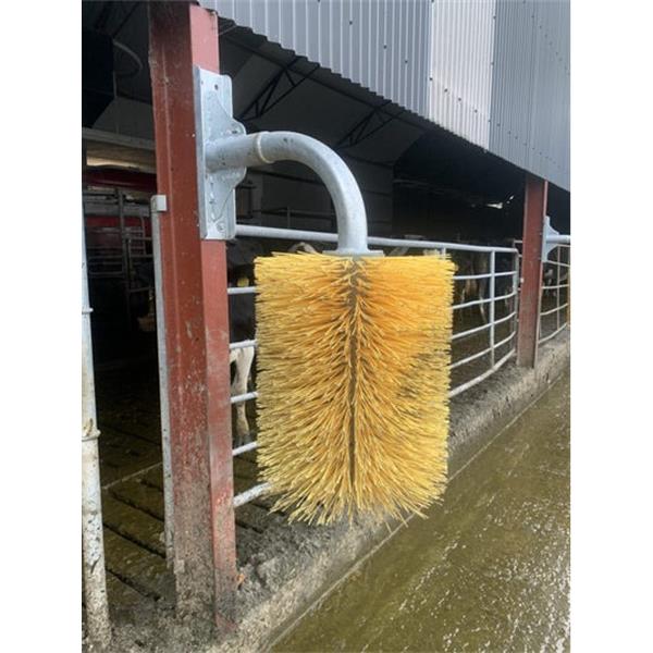 CONDON COW BRUSH