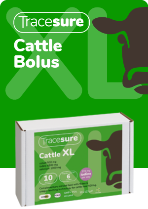 Tracesure Cattle XL with Copper 10&