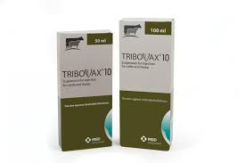 Tribovax 10