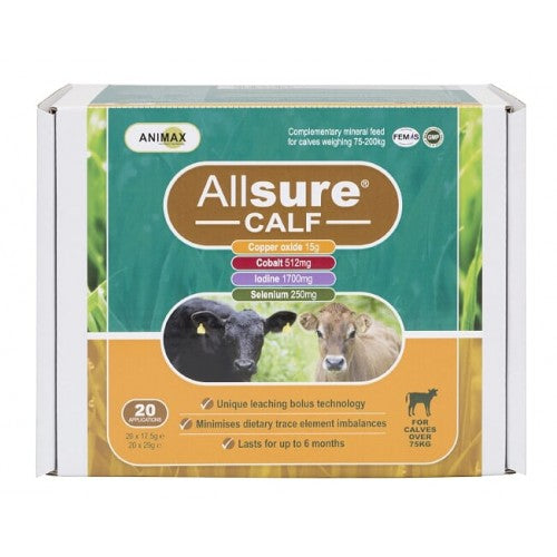 ALLSURE CALF 20&