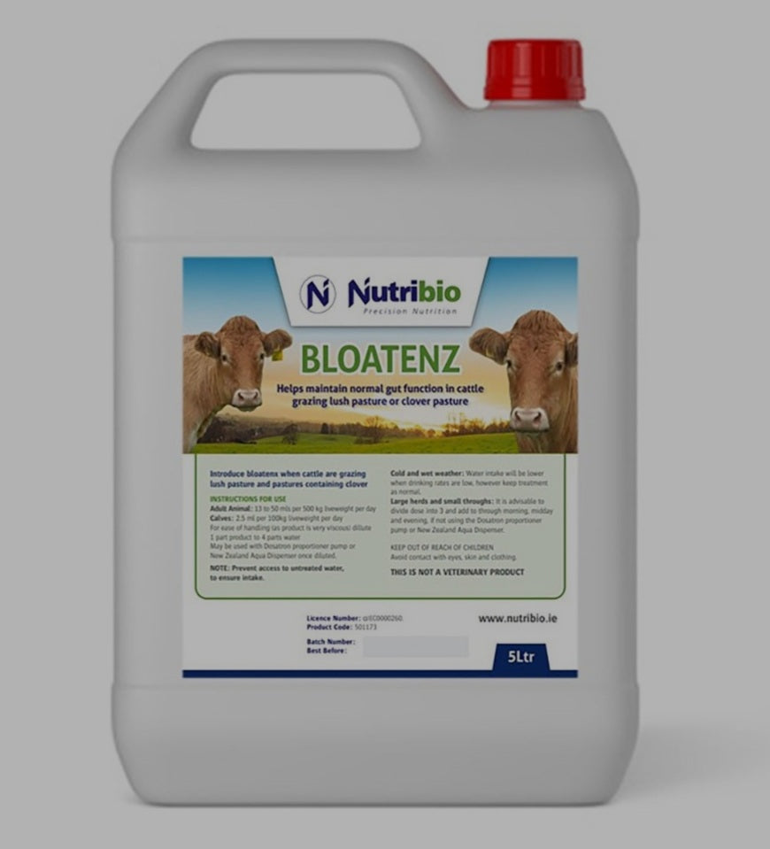Bloatenz 5L