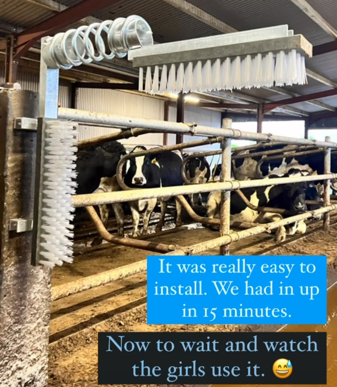 Vink Cattle Brush – Fully galvanised and extremely durable cattle brush no