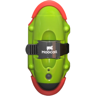 Calving Sensor Moocall
