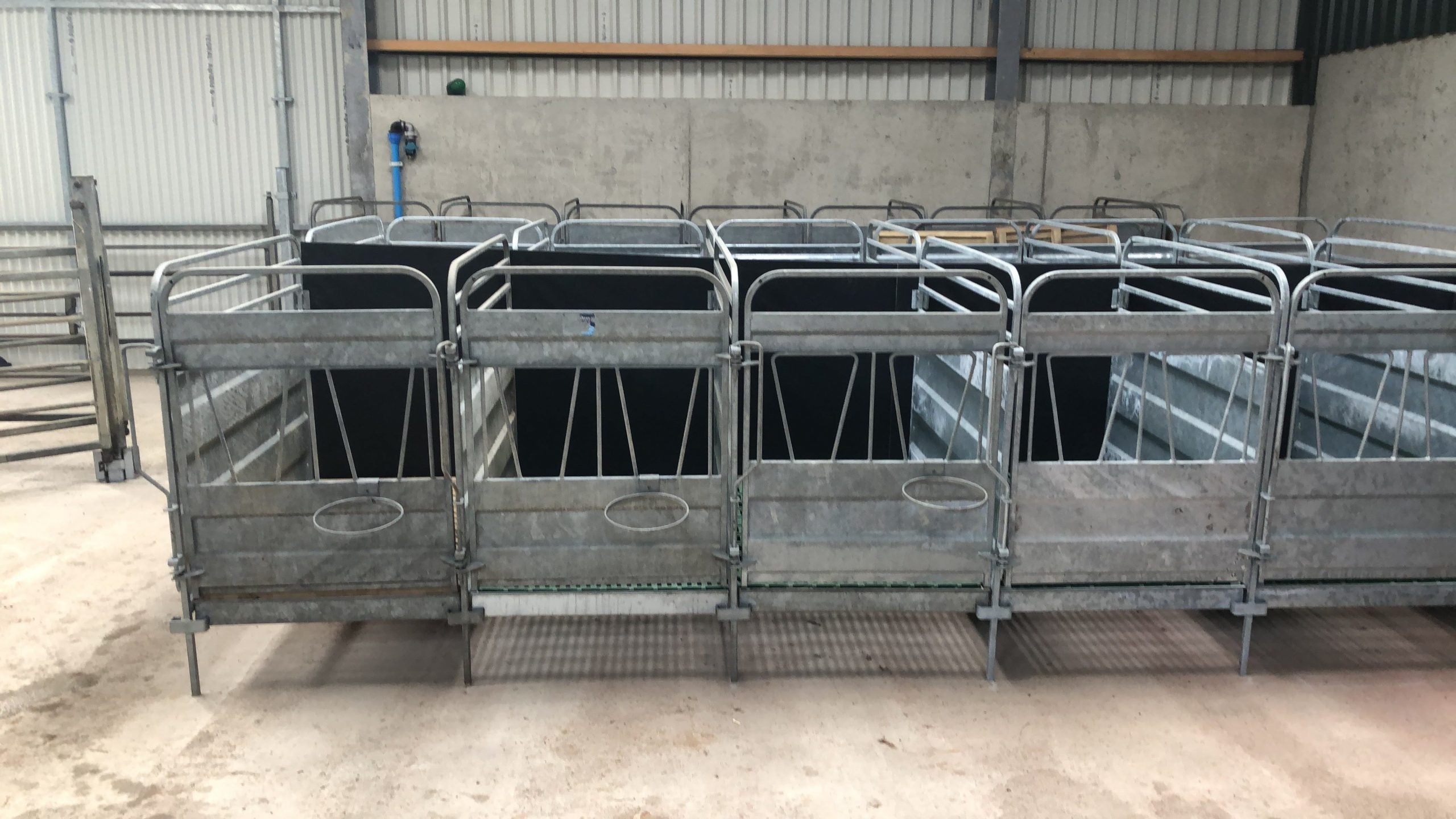 Calf Pens