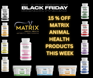 Matrix Black-Friday