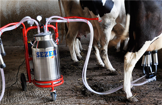 Milking Machines