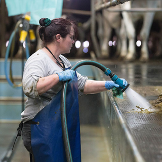 Milk Parlour Equipment