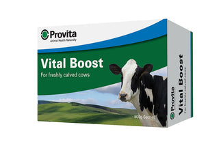 PROVITA VITAL BOOST