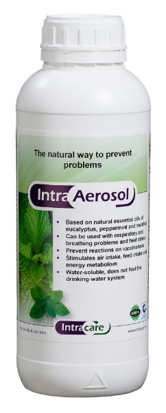 INTRA AEROSOL - 1LT