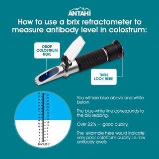 Antahi Refractometer BRIX