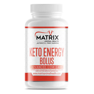 Keto Energy Bolus