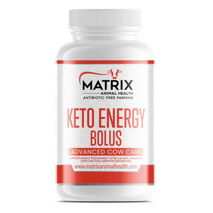 Keto Energy Bolus