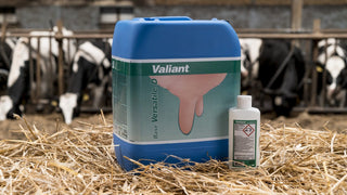 Valiant Versatile 20L