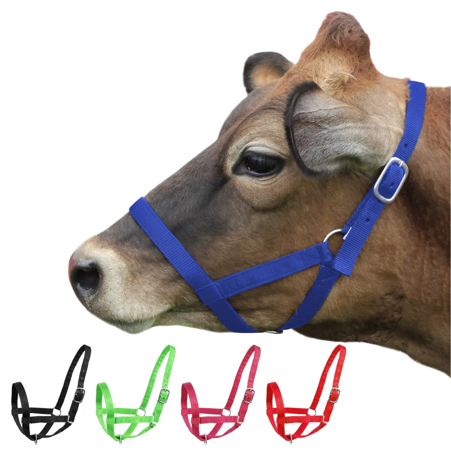 Cattle Halter