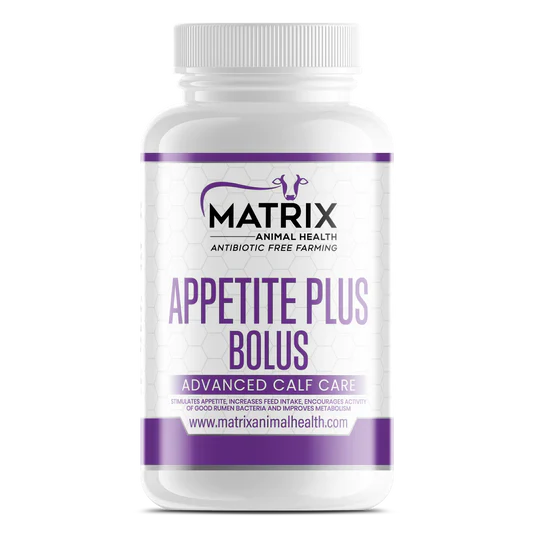 Appetite Plus Bolus
