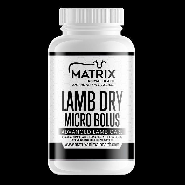Lamb Dry Micro Bolus