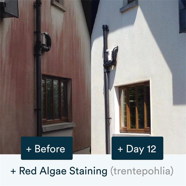 Actiwash Pro 5L Professional Softwash Biocide - Chlorine Free