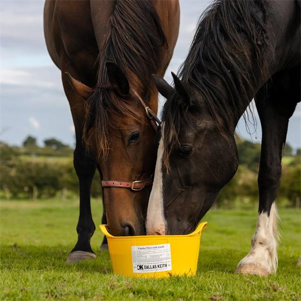 Equine Flexi Garlic Tub Mineral Lick 12.5kg