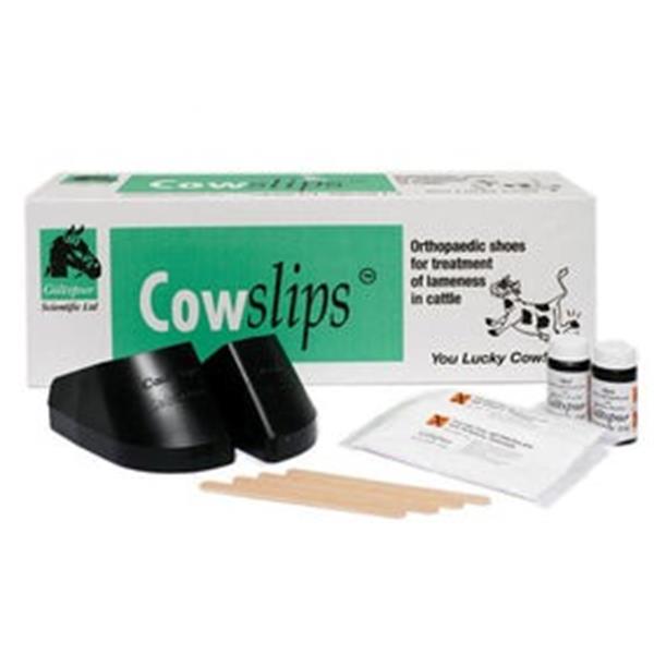 Cowslips 40 Pack (Mixed) - Plus