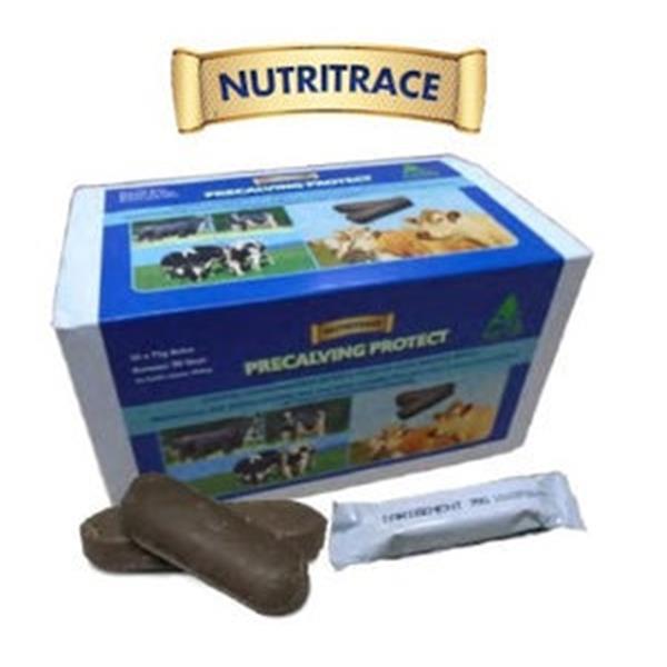 Nutritrace Precalving Protect 75g Bolus