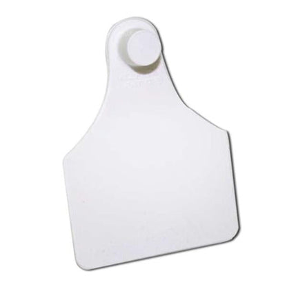 TAG WHITE LGE FEMALE BLANK EACH Pack 100