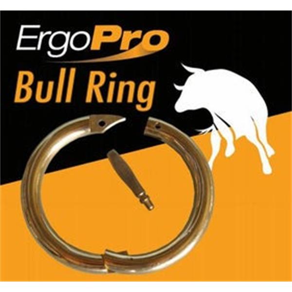 Brass bull rings 3&quot;