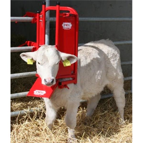 O’Neill Calf &amp; Sheep Staller