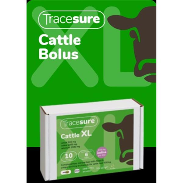 Tracesure Cattle XL with Copper 10&