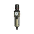 1/2" Outlet Filter Regulator C/W Gauge