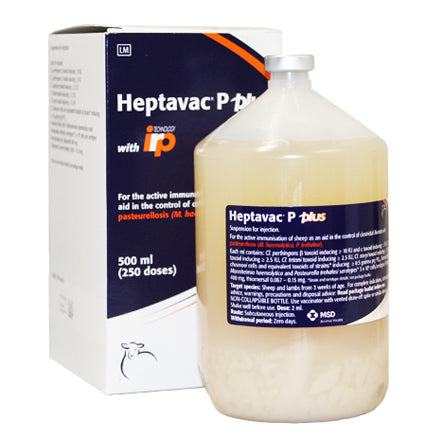 Heptavac P Plus
