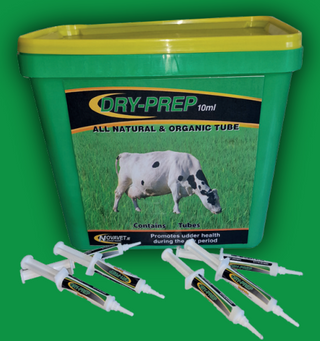 Dryprep Dry Cow Tube