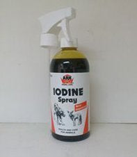 IODINE 10% SPRAY 500ML