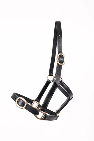 BREEZE UP LEATHER HEADCOLLAR LATIGO