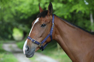 NYLON HEADCOLLAR