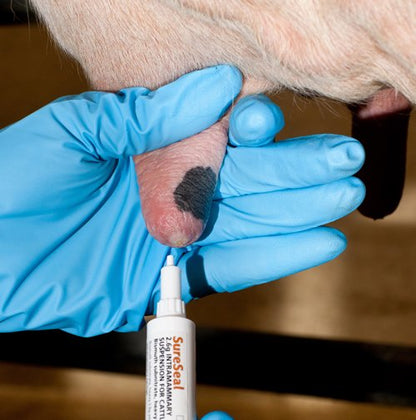 Sureseal 120 Syringes