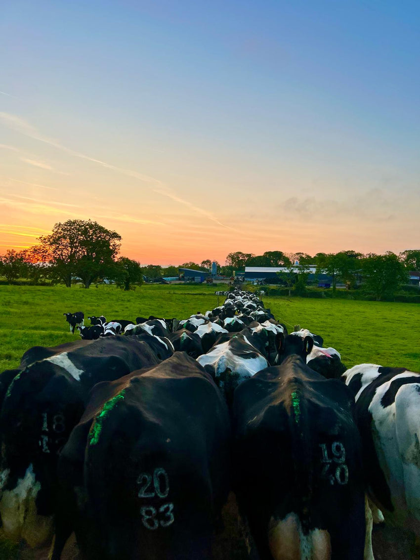 Country Farm Supplies CountryfarmsuppliesUK