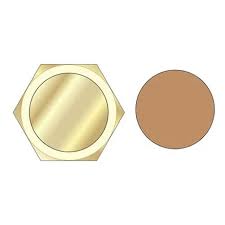 EP 3/4&quot; Brass Compression Blanking Cap