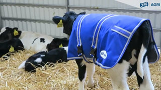 JFC Agri Calf Coat