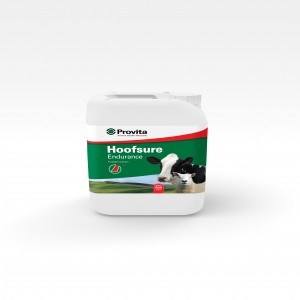 PROVITA HOOFSURE ENDURANCE 5LTR