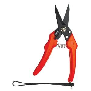 Foot Rot Shears