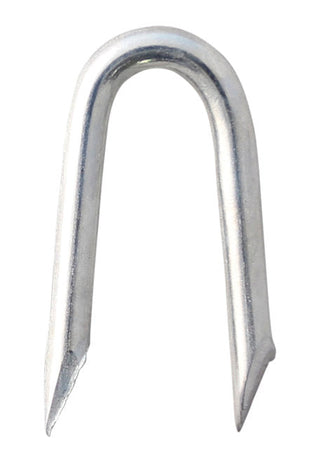 GALVANISED STAPLES 30MM (20KG)