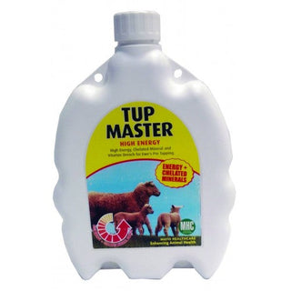 TUP MASTER