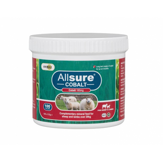 ALLSURE SHEEP