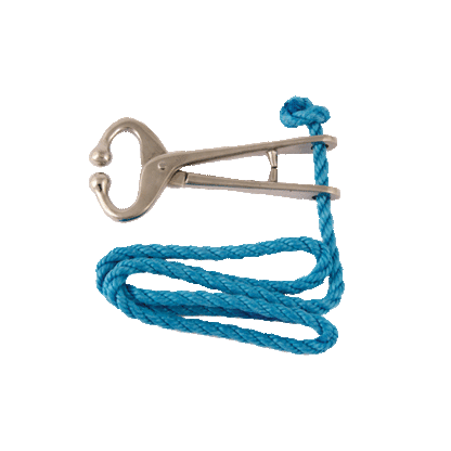 Bullholder with Rope