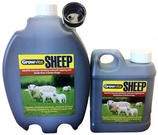 Growvite Sheep 2.5LTR