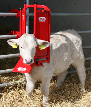 O’Neill Calf &amp; Sheep Staller