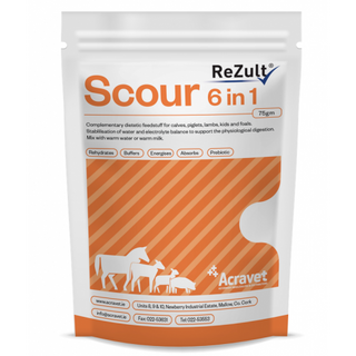 REZULT SCOUR 6 IN 1 SACHETS 12'S