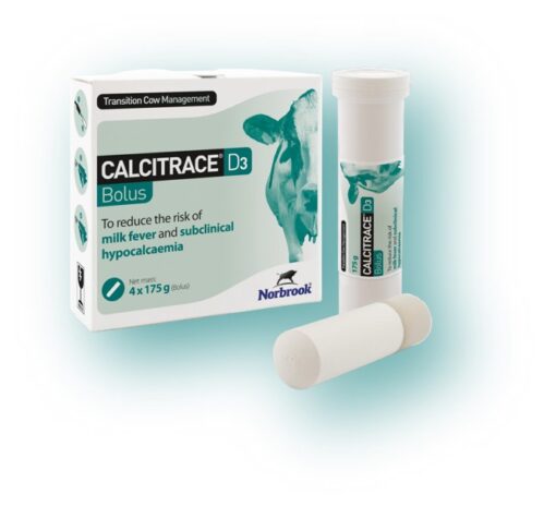 Calcitrace Bolus (4 x 175g)