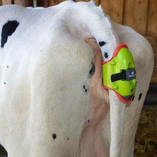 Calving Sensor Moocall